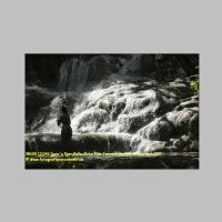 38600 13 046 Dunn´s River Falls, Ocho Rios Jamaica, Karibik-Kreuzfahrt 2020.JPG